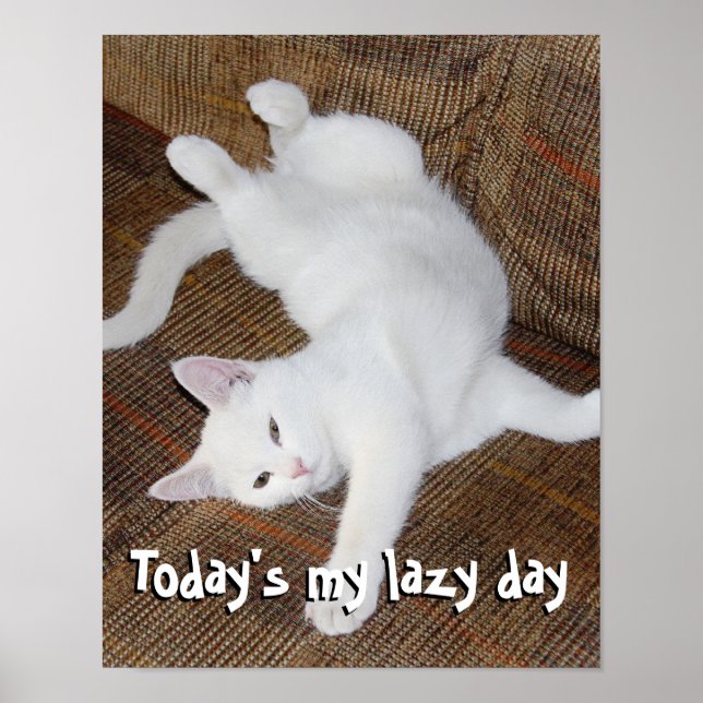 Gato estendido - Poster (Frente)