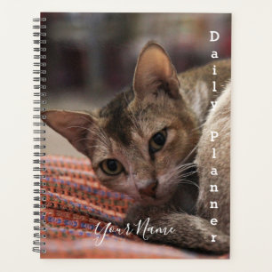 Gato Exótico - Planejador Diário - HAMbWG