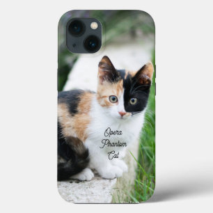 Gato Fantasma da Ópera