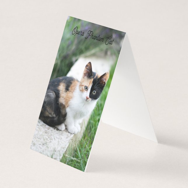 Gato Fantasma da Ópera (Verso)