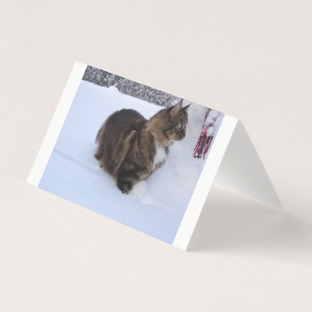 gato floresta norueguesa na neve (Frente)