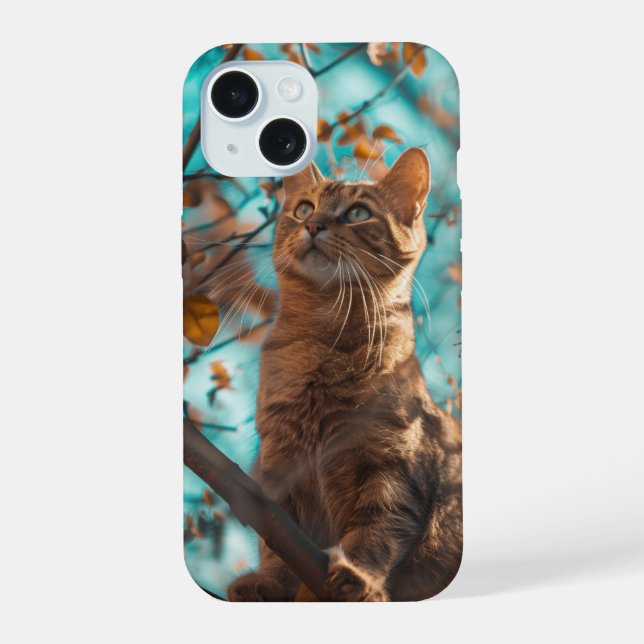 Gato Fofo (Verso)
