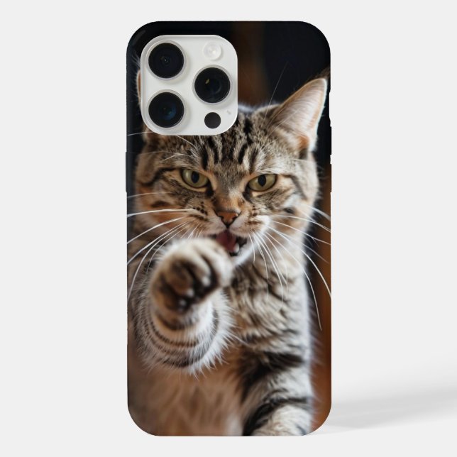 Gato fofo dando um soco (Verso)