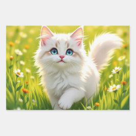 Gato / Gatinho