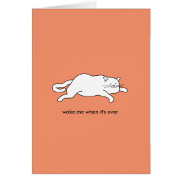 gato gordo bonito em um cartão