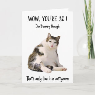 Gato Gordo Engraçado Sentado Cartão de Aniversário