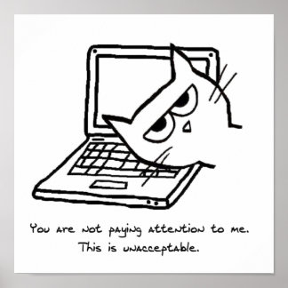 Gato Irritado Exige Atenção - Poster de Gato Engra