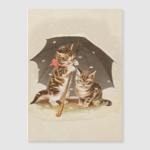 Gato Kitten gatinho antigo vintage bonito