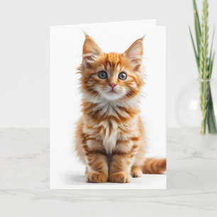 Gato Laranja Tabby de Pelo Comprido e Fofo Cartão 