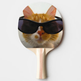 Gato Legal Com Óculos de Sol Raquete de Ping Pong