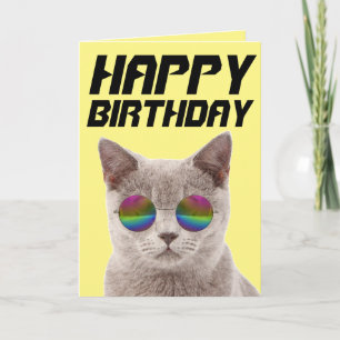 GATO LEGAL DE ANIVERSÁRIO COM CARTÕES DE ÓCULOS DE