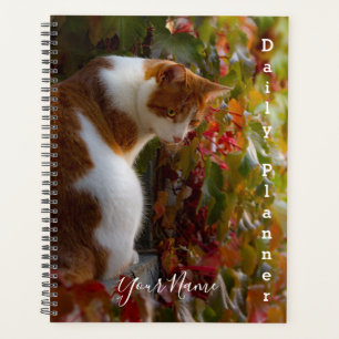 Gato Listrado Laranja - Agenda Diária- HAMbWG