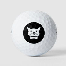 Gato macho engraçado e vesgo, Legal