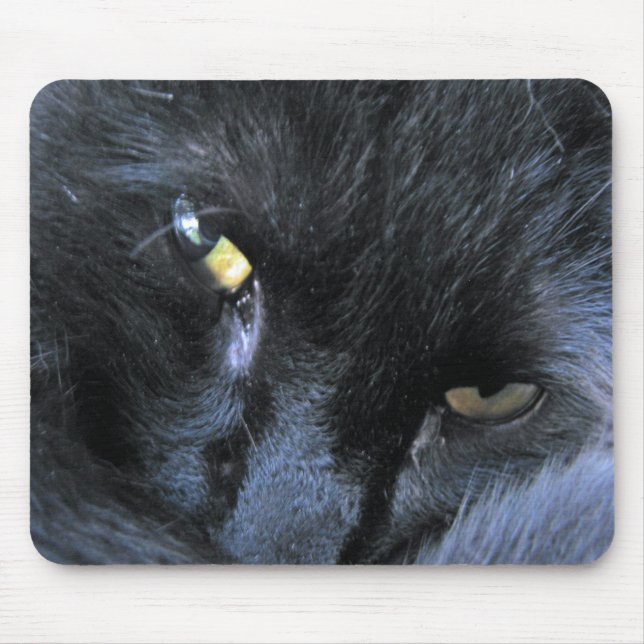 Gato mau Mousepad (Frente)