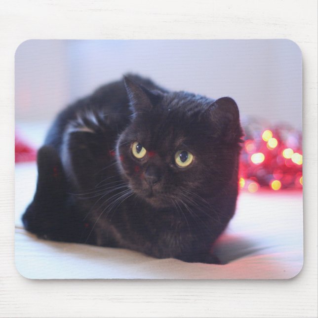 Gato Mousepad (Frente)