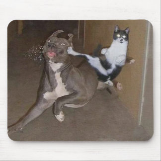 Gato Mousepad de Ninja