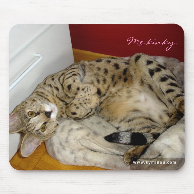 Gato Mousepad kinky do savana F1 (Frente)