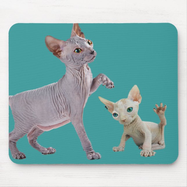 Gato Mousepads de Sphynx (Frente)