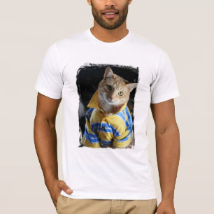 Gato na camisa