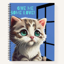 GATO NA COTAÇÃO DA JANELA