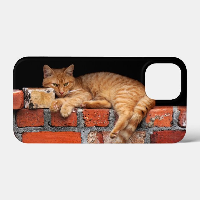 Gato na Parede Brick (Verso (horizontal))