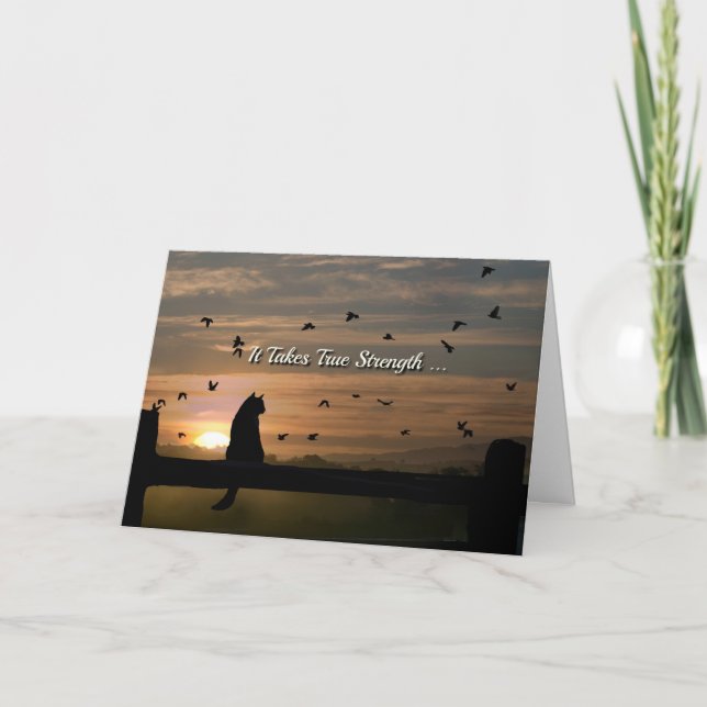 Gato na Simpatia Sunset Colocado Gato no Cartão de (Frente)