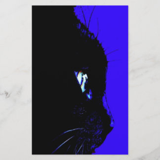 Gato Negro