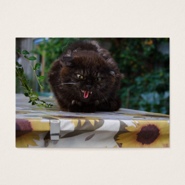 Gato Negro Irritado (Frente)