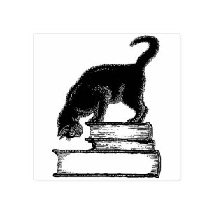 Gato Negro no Livro Carimbo de Borracha