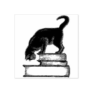 Gato Negro no Livro Carimbo de Borracha