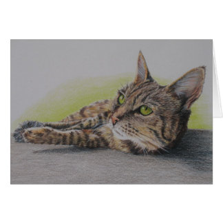 Gato no cartão verde