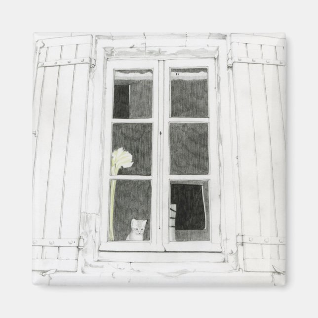 Gato no Íman da janela (Frente)