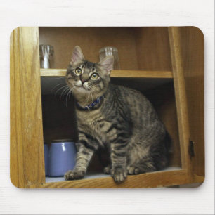 Gato no Mousepad Cupboard