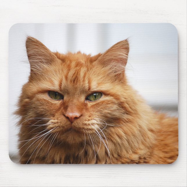 Gato norueguês Mousepad da floresta (Frente)
