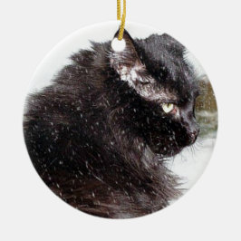 Gato norueguês preto da floresta no ornamento da