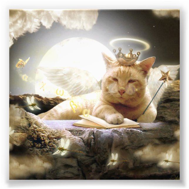 Gato nos Impressões de fotos do céu. (Frente)