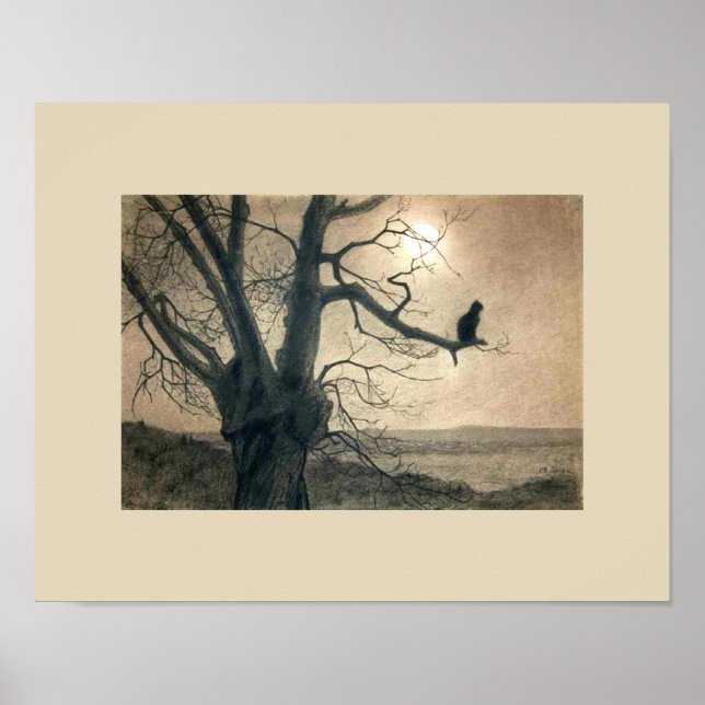 Gato Noturno em Poster de árvore (Frente)