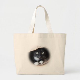 Gato numa bolsa