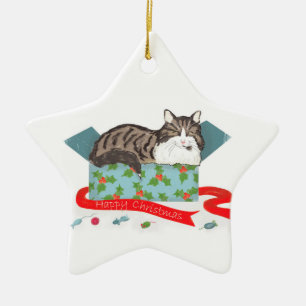 Gato numa caixa de ornamento de árvore de Natal