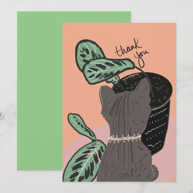 Gato Observando Plantas Obrigado Cartão-Postal (Frente/Verso)
