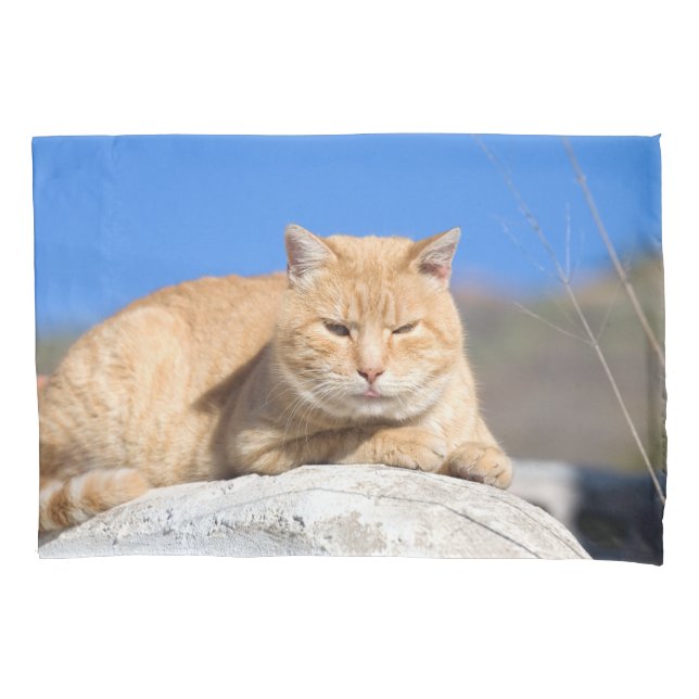 Gato preguiçoso (Frente)