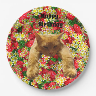 Gato Preguiçoso em Rosas, Pratos de Aniversário de