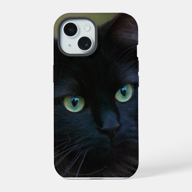 gato preto (Verso)