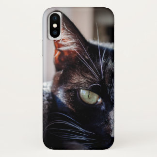 Gato preto com capas de iphone dos olhos verdes