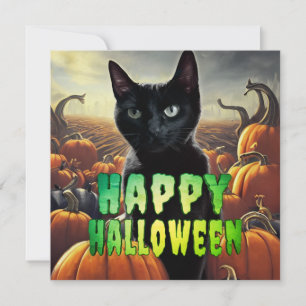 Gato Preto e Pumpkins