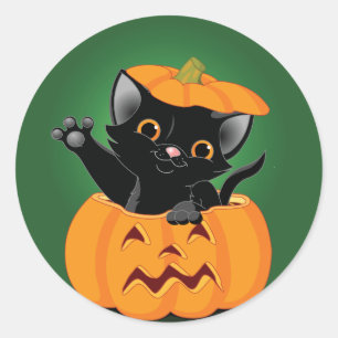 Gato preto em etiquetas de uma abóbora