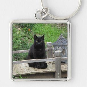 Gato preto em um chaveiro da ponte