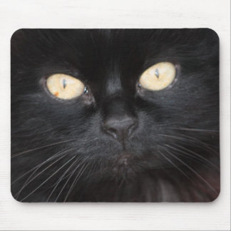 Gato preto Mousepad