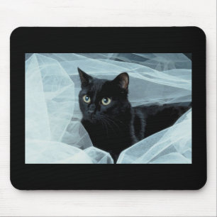 Gato preto Mousepad