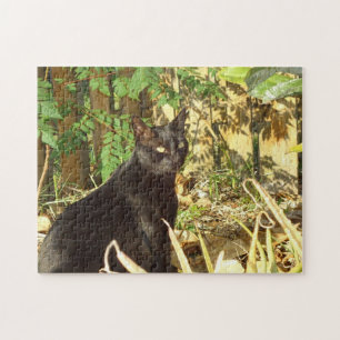 Gato preto no quebra-cabeça de Sun da manhã